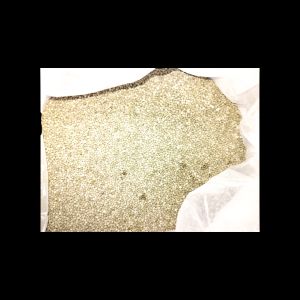 TSP